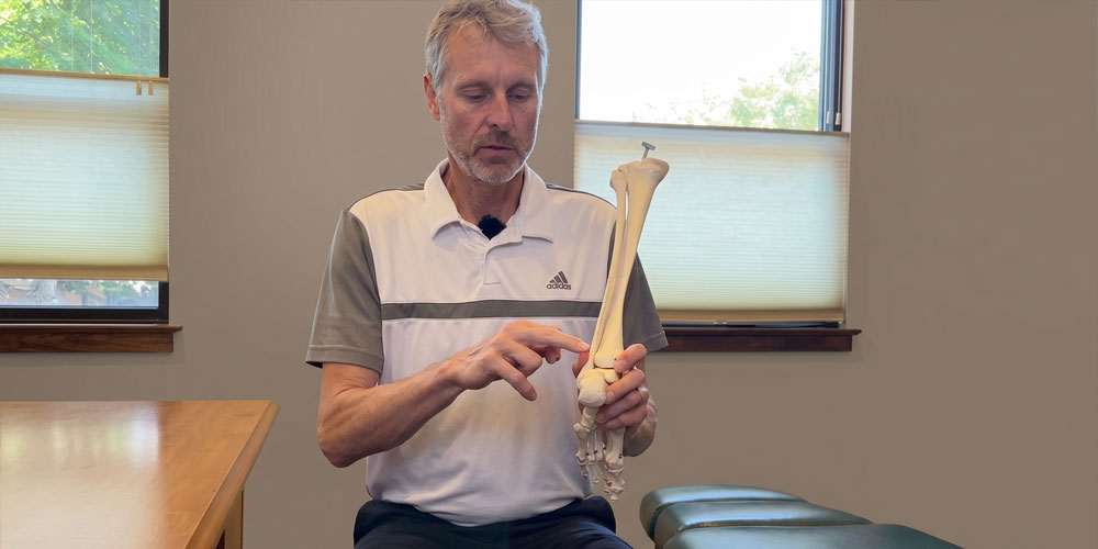 Dr. Bart Hodgins, an Asheville, NC chiropractor, holding an anatomical foot and lower leg bone model to demonstrate foot care and alignment.